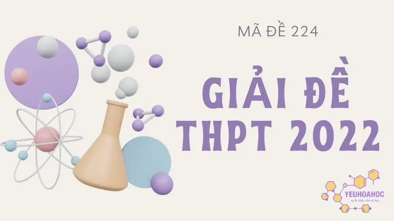 Giải chi tiết đề thi THPT Quốc gia 2022 môn Hóa - Mã 224