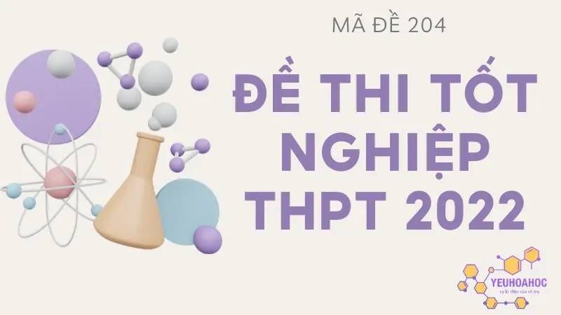 Giải đề thi tốt nghiệp THPT quốc gia 2022 - mã đề 204