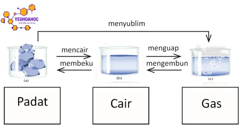 Sự biến đổi chất