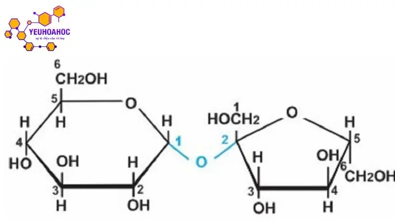 Saccarozơ: Khái niệm, cấu tạo, tính chất và ứng dụng 
