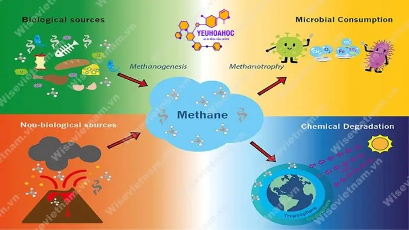 ung-dung-cua-metan-trong-doi-song