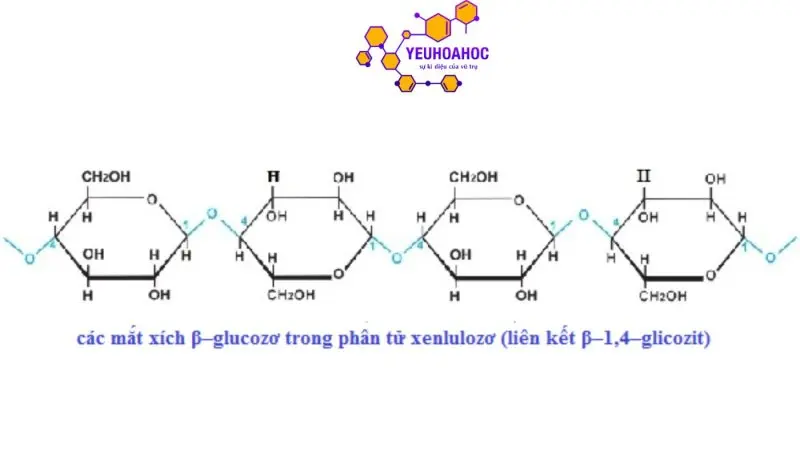 Xenlulozơ: Khái niệm, cấu tạo, điều chế và bài tập
