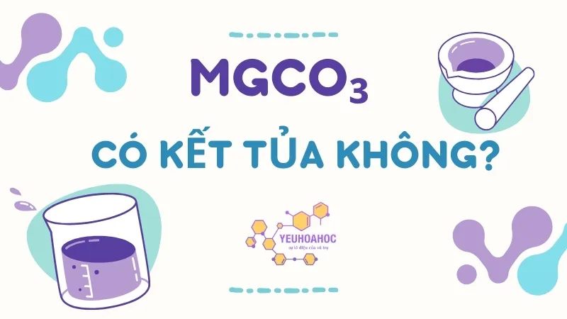 MgCO₃ có kết tủa không? Tính chất hóa học của MgCO₃