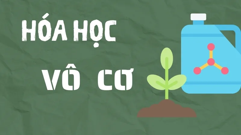 Hóa học vô cơ là gì? Các loại hợp chất vô cơ phổ biến