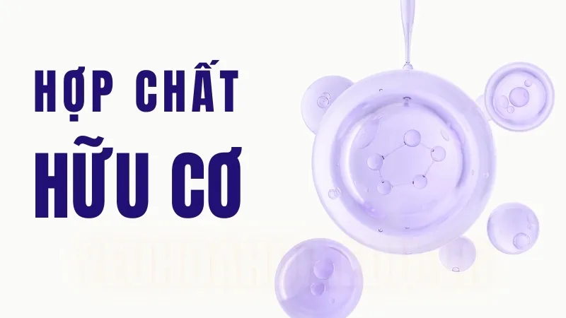 Hợp chất hữu cơ là gì? Phân loại các hợp chất hữu cơ