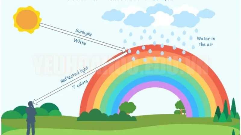 Tại sao lại có cầu vồng? Các biến thể của cầu vồng