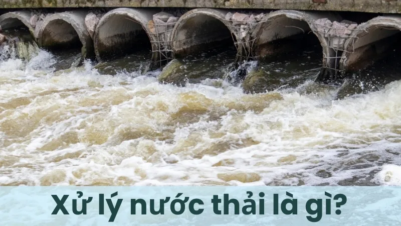 Xử lý nước thải là gì? Quy trình xử lý nước thải hiện đại