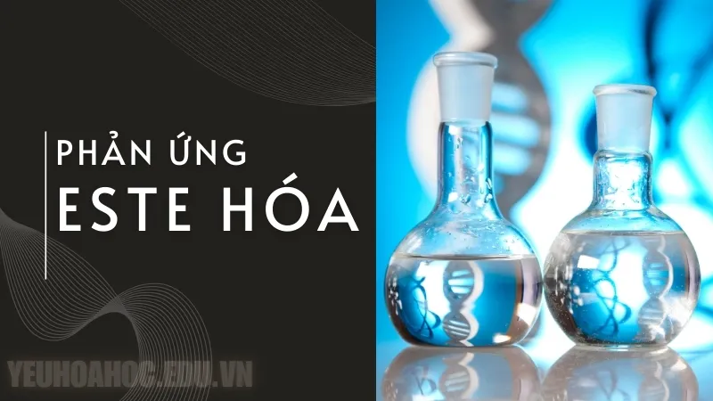 Este hóa là gì? Sự khác biệt giữa Este hóa và xà phòng hóa