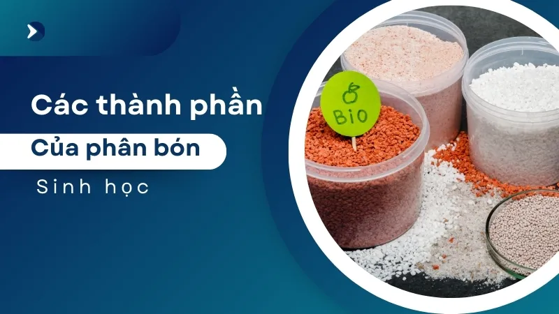 Thành phần của phân bón sinh học