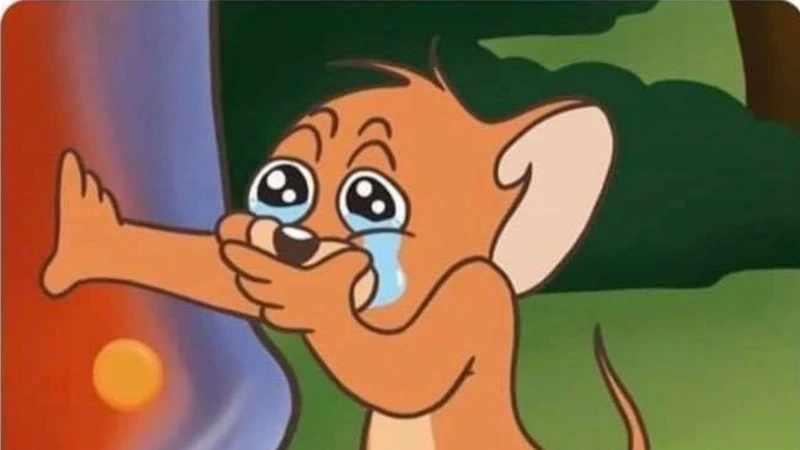 Biểu cảm đau lòng của jerry cry meme khiến fan xót xa.