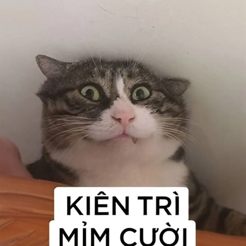 Tuyển chọn hình ảnh meme hài hước bá đạo nhất