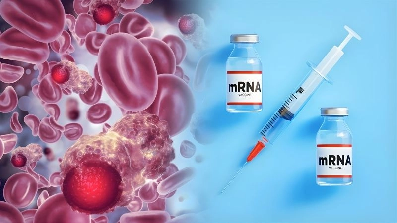 Vaccine mRNA và công nghệ nền tảng 