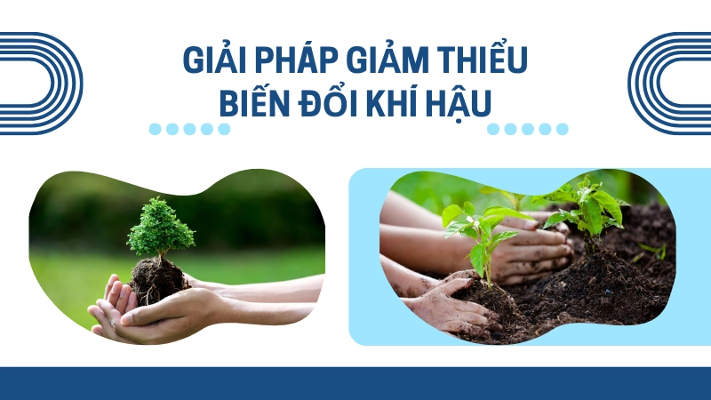 Trồng cây xanh chung tay giảm thiểu tác động của biến đổi khí hậu