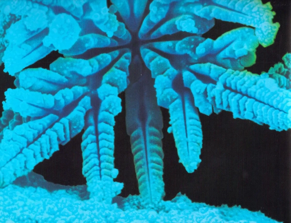 Kích thước tinh thể tuyết siêu nhỏ phóng đại nhiều lần