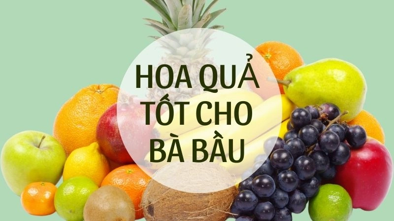 Quả bơ - 
