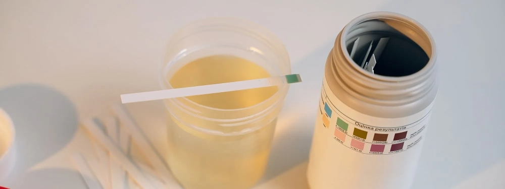 Giấy quỳ tím đổi màu đỏ khi nhúng vào dung dịch axit