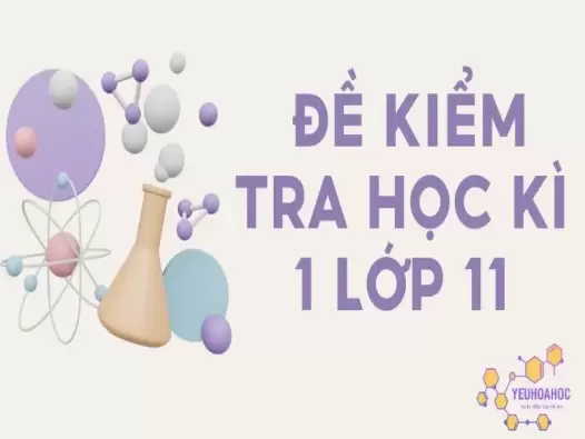 Đề kiểm tra học kì 1 lớp 11 môn Hóa - Có lời giải