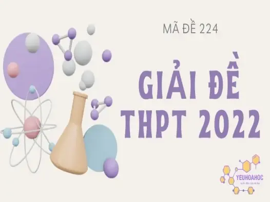 Giải chi tiết đề thi THPT Quốc gia 2022 môn Hóa - Mã 224