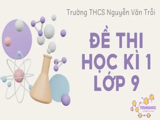 Đề thi học kì 1 lớp 9 môn Hóa học Trường THCS Nguyễn Văn Trỗi 