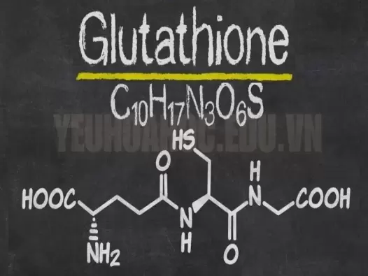 Glutathione có phải là “thần dược” chống oxy hóa cho cơ thể?