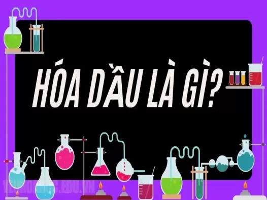 Hóa dầu là gì? Hóa dầu có ảnh hưởng gì đến môi trường?