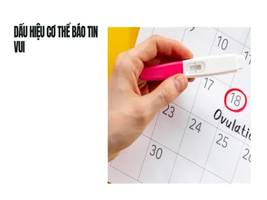 Kinh nghiệm nhận biết dấu hiệu mang thai 7 ngày sau quan hệ