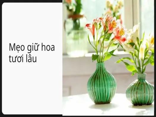 Trải nghiệm mẹo làm sao để hoa tươi lâu hơn gấp đôi