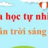 Bài tập về Nguyên tố Hóa học Lớp 7: Khám phá Thế giới Nguyên tử