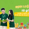 Định luật Ôm là gì? Giải thích chi tiết và ứng dụng thực tế