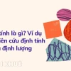 Định tính là gì? Phân biệt rõ phương pháp nghiên cứu định tính và định lượng