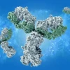 Epitope là gì? Khám phá vùng liên kết kháng nguyên trên kháng thể