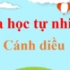 Khám phá tất cả các nguyên tố hóa học: Từ A đến Z