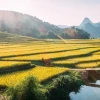 Khám phá vẻ đẹp choáng ngợp của các cảnh đẹp Việt Nam