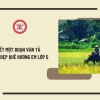 Khám phá vẻ đẹp quê hương em qua những trang văn sống động