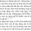 Không bào là gì? Chức năng và vai trò trong tế bào thực vật