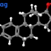 Lipid là gì? Tầm quan trọng và vai trò của lipid với sức khỏe