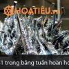 Nguyên tố số 51 Antimon (Sb): Khám phá tính chất và ứng dụng