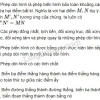 Phép Dời Hình Là Gì? Khám Phá Chi Tiết Lý Thuyết Và Bài Tập Toán 11