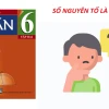 Số nguyên tố kí hiệu là gì và những điều cần biết