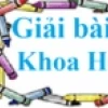 Tại sao lại có gió những nguyên nhân cơ bản và các loại gió chính
