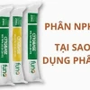 Te là nguyên tố gì? Vai trò và ứng dụng trong nông nghiệp