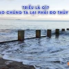 Thủy triều là gì? Giải mã hiện tượng tự nhiên kỳ thú
