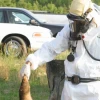 Tổ chức PETA là gì? Sự thật gây tranh cãi về "bảo vệ động vật"
