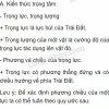 Trọng lực là gì? Khám phá bản chất và các yếu tố liên quan