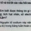 Trong ô nguyên tố sau con số 23 cho biết điều gì?