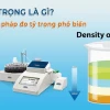 Tỷ trọng là gì? Giải mã ý nghĩa và cách tính trong kinh tế