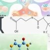 Cơ chế Hoạt động của Niacinamide trong Chăm sóc Da Chuyên sâu