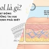 Cơ Chế Hoạt Động Của Retinol Trong Mỹ Phẩm