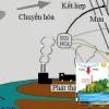 Mưa Axit Hình Thành Và Tác Hại Với Môi Trường