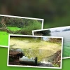 Phú Dưỡng Hóa Nguồn Nước Nguyên Nhân Và Giải Pháp Toàn Diện